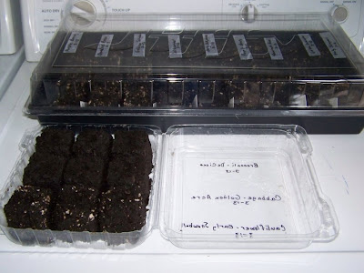 Soil Blocks