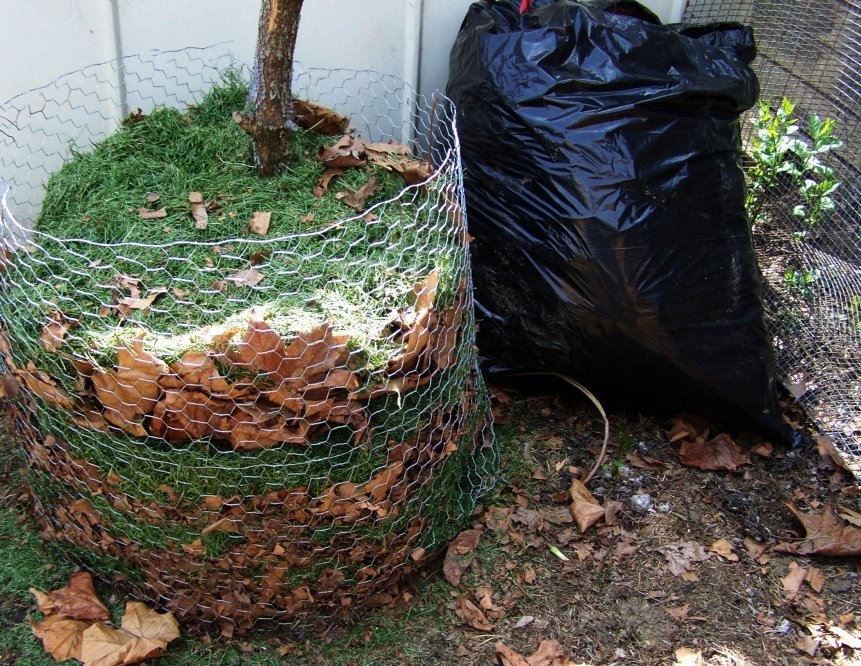 [2009-04-18+compost+(02).jpg]