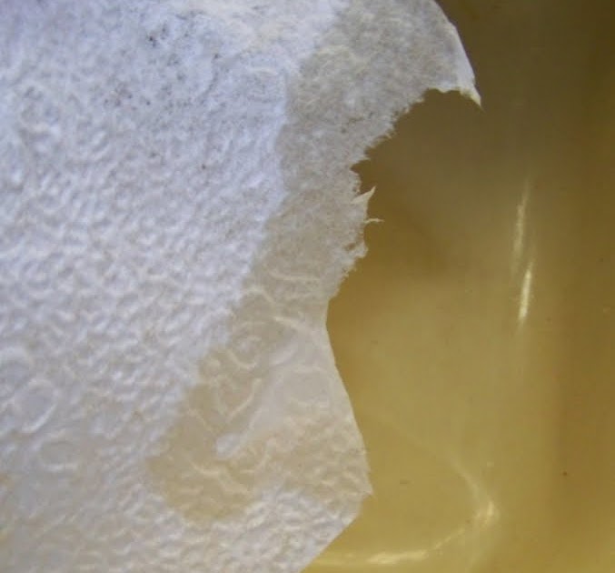 Annie's Kitchen Garden September 22, 2009 Home Made Seed Mat Tutorial