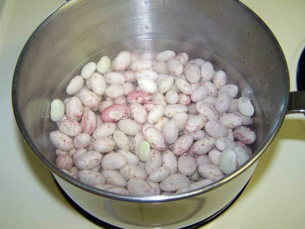 shell beans