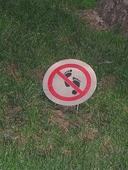 Los Jardines de Plaza América: NO PISAR EL CÉSPED