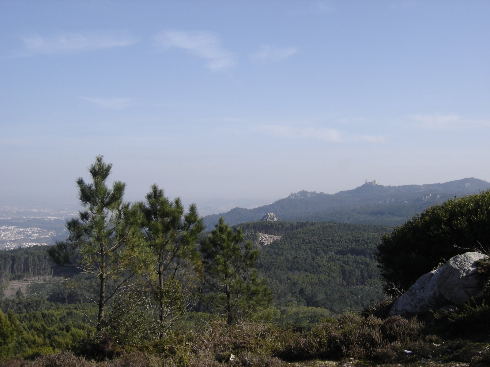 [DSC04531.JPG]