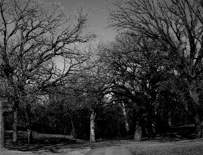 Foto bij 39.Mandy's Body