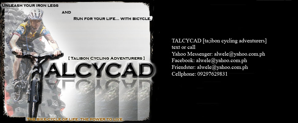 talcycad