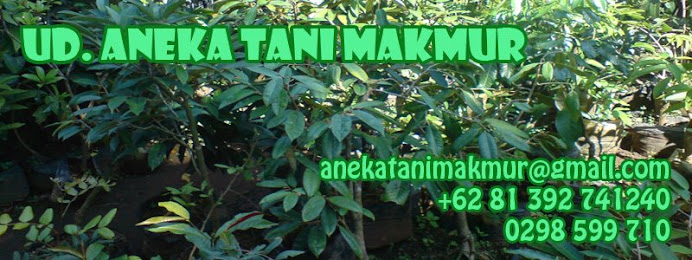UD. ANEKA TANI MAKMUR