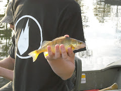 Fishing on Watts Bar Lake 2009