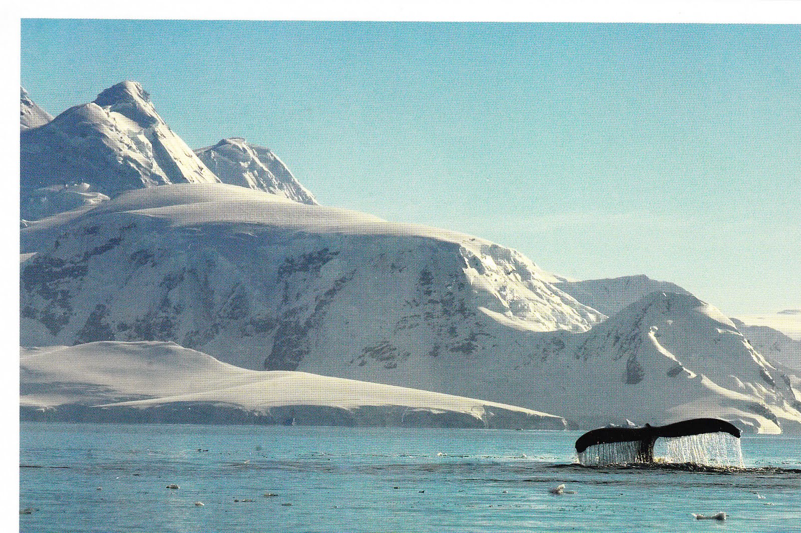Gem's World Postcards: Antarctica But Not Antarctica and Finnish Wishes