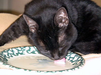 Here, Selena Sabine enjoys the leftovers of a vanilla shake.