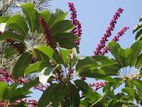 cursos de jardineria gratis revista jardineria revistas de jardineria