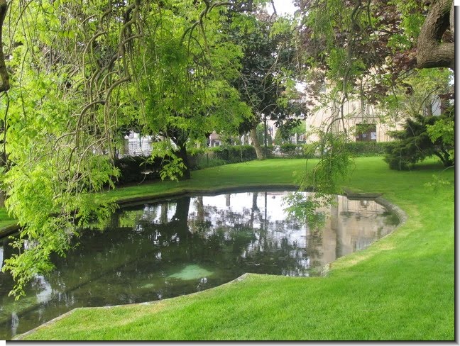 Plantas y flores: Ahorro de agua en jardines