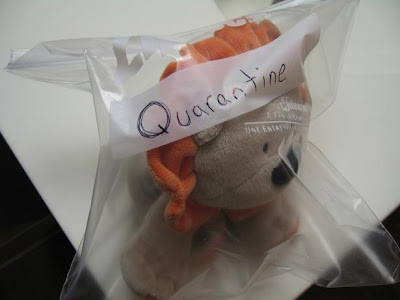 Stuffed Lion in Quarantine
