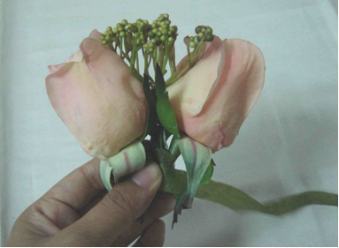 [wristcorsage4.png]