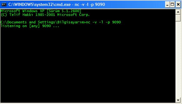 Backconnect ve Server Root