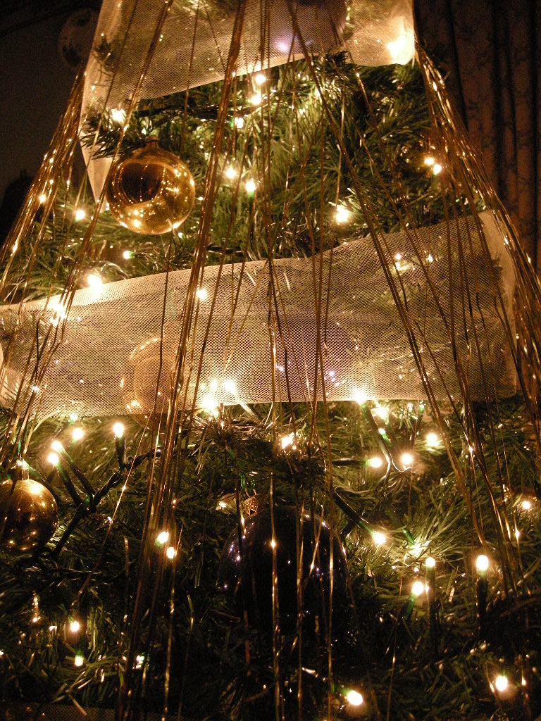 [albero+nostro3.JPG]