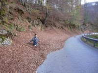 Carretera de Artesiaga en otoño