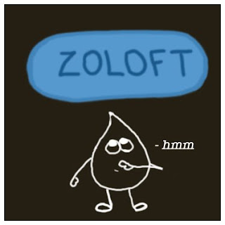So at the beginning of December 2010, I had the script filled for Zoloft