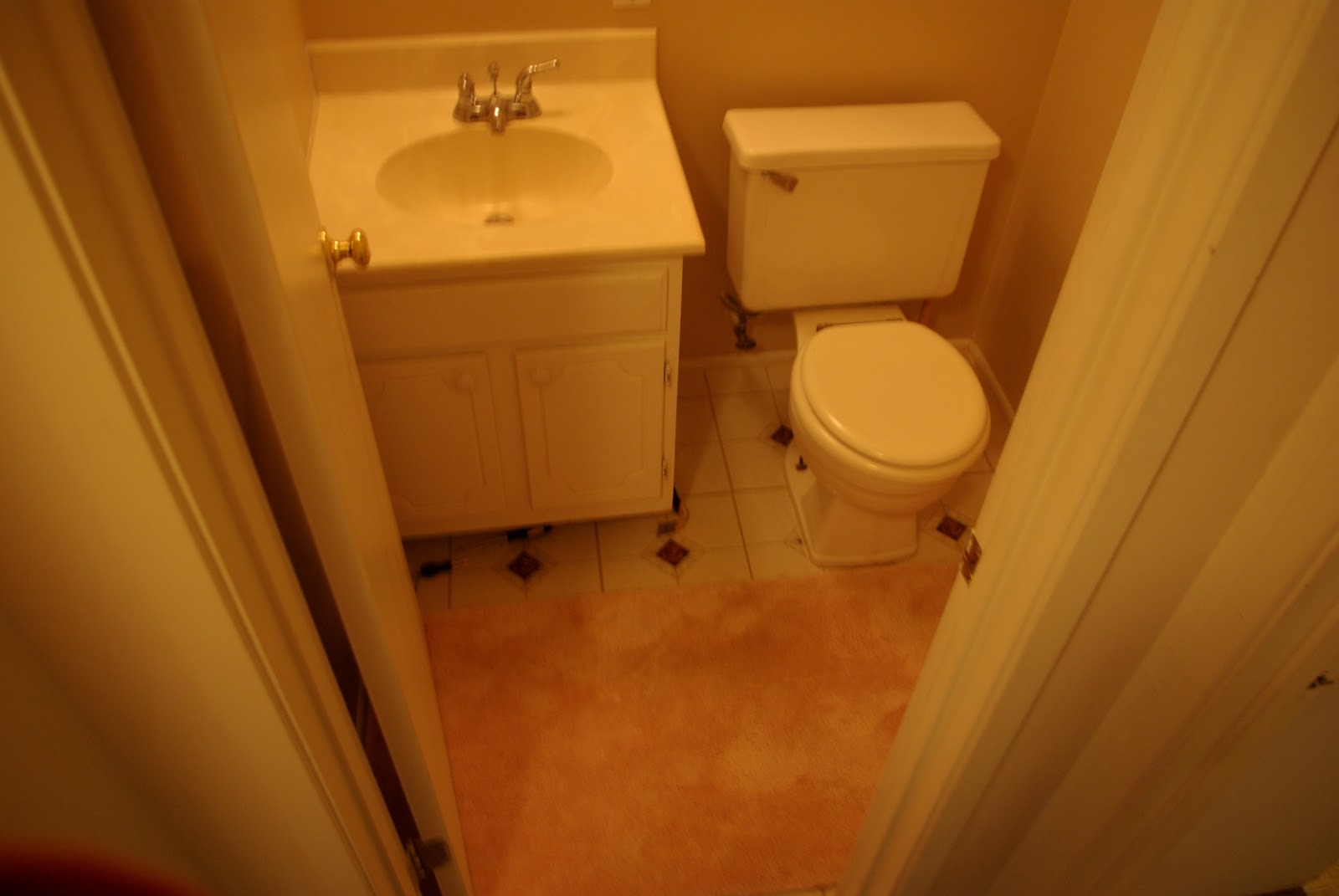 The Kitchen Bear: New Year, New Bathroom!