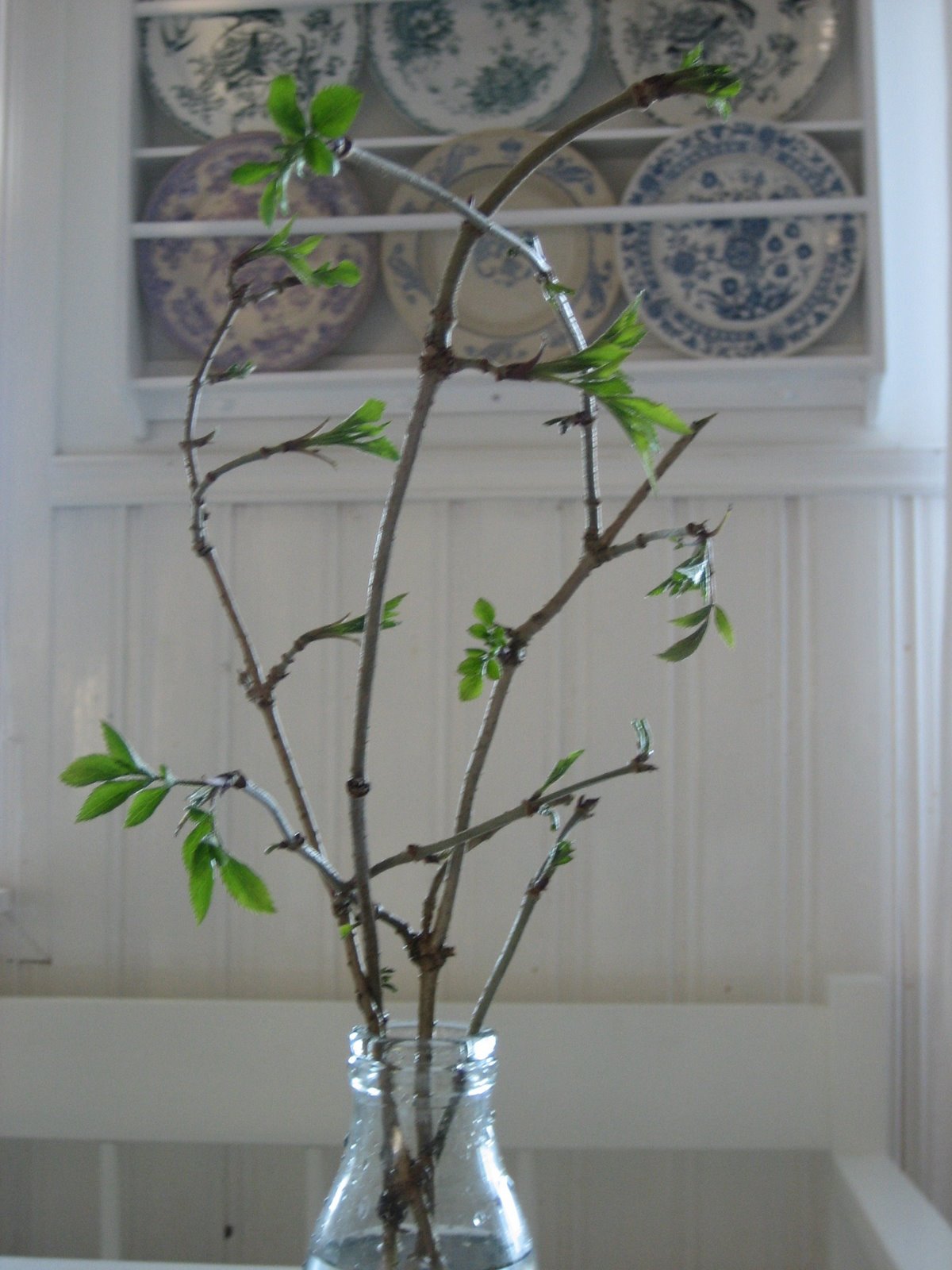 [julafton+07+330.jpg]