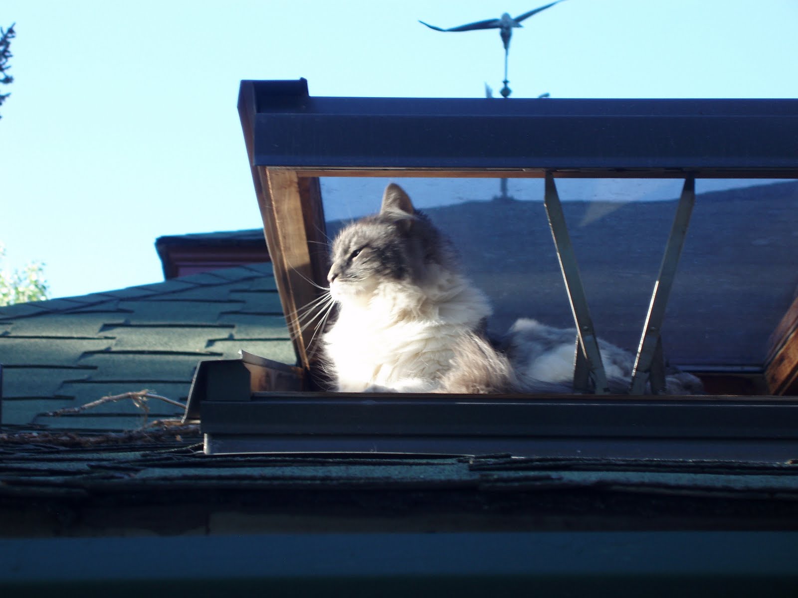 [Isabel+skylight+2.JPG]