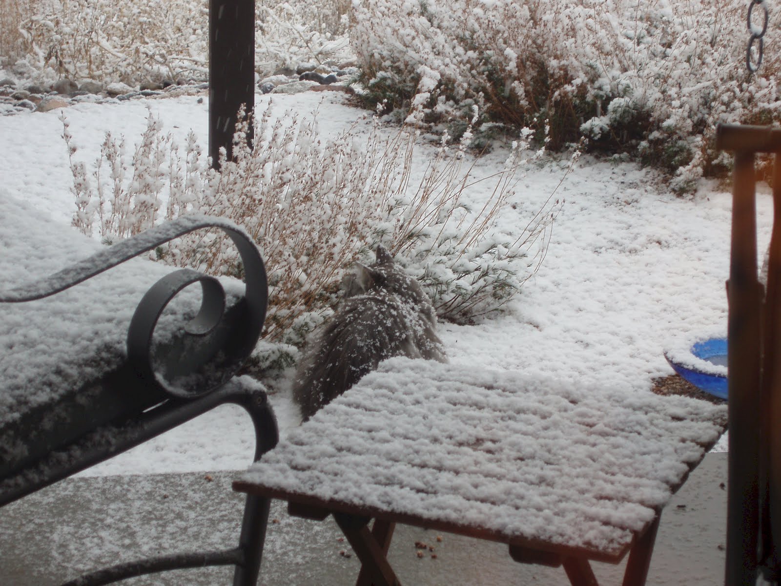 [isabel+in+the+snow+2.jpg]