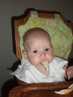 Baby eating white meat chicken