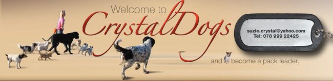 CrystalDogs - Dogblog featuring the Crystal Dog Pack