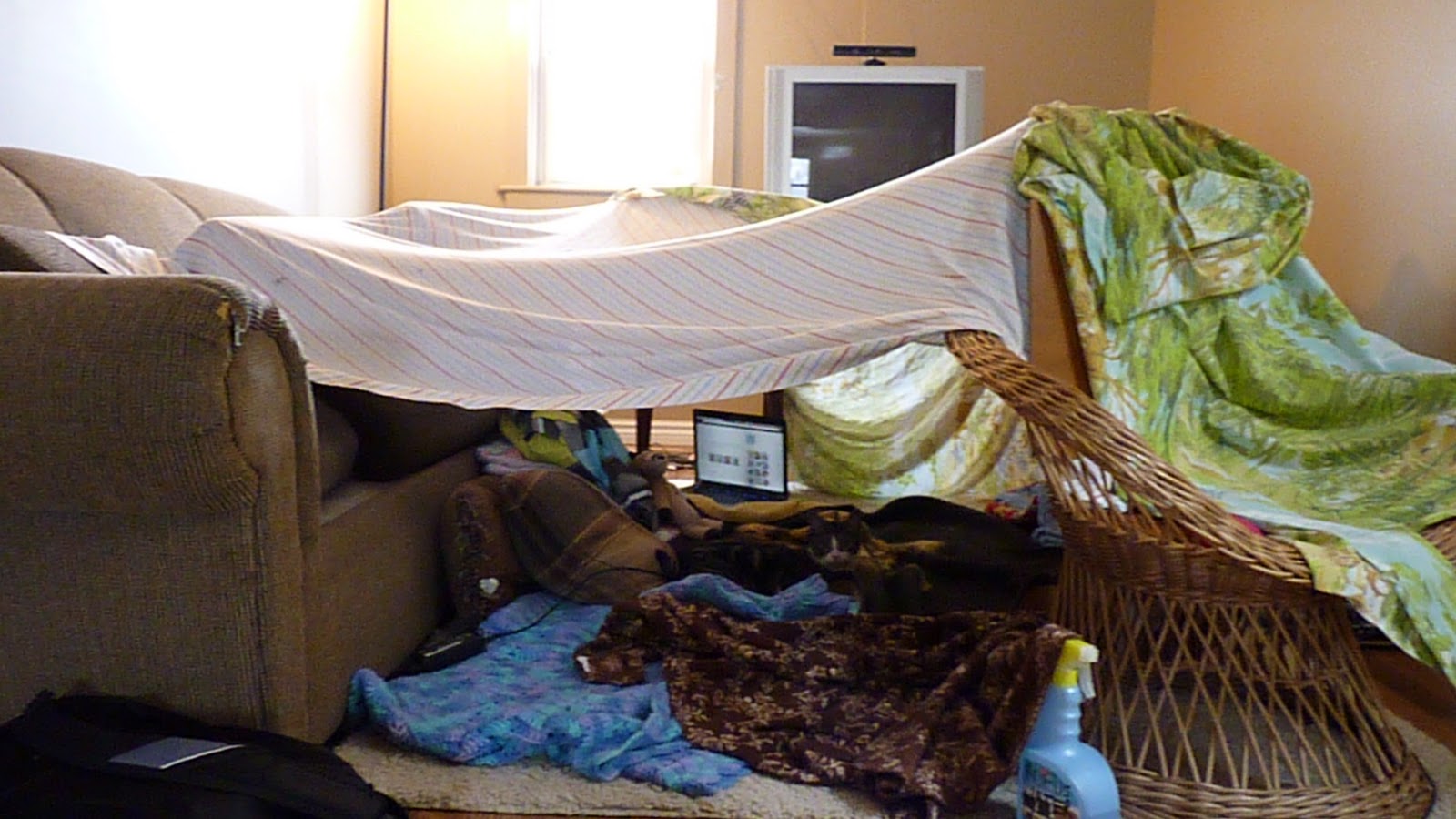 Sarah's Ramblin's Blanket Fortress