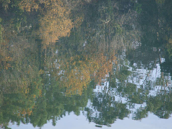 Rio Miño.