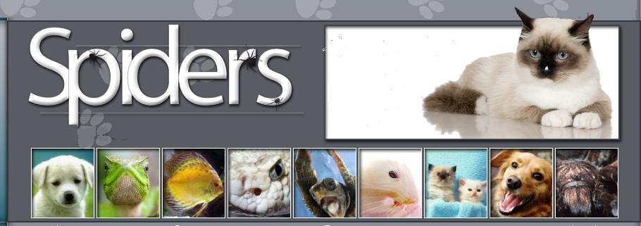 Pet Supply Information