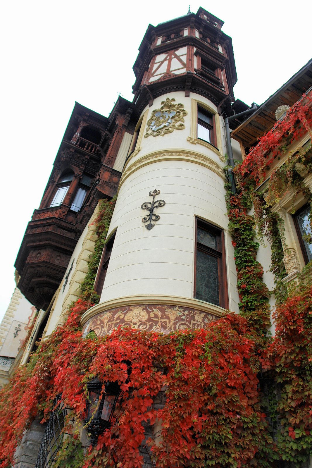 [DSC08807.JPG]