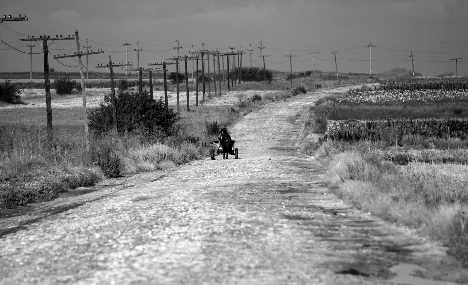[DSC08511.JPG]