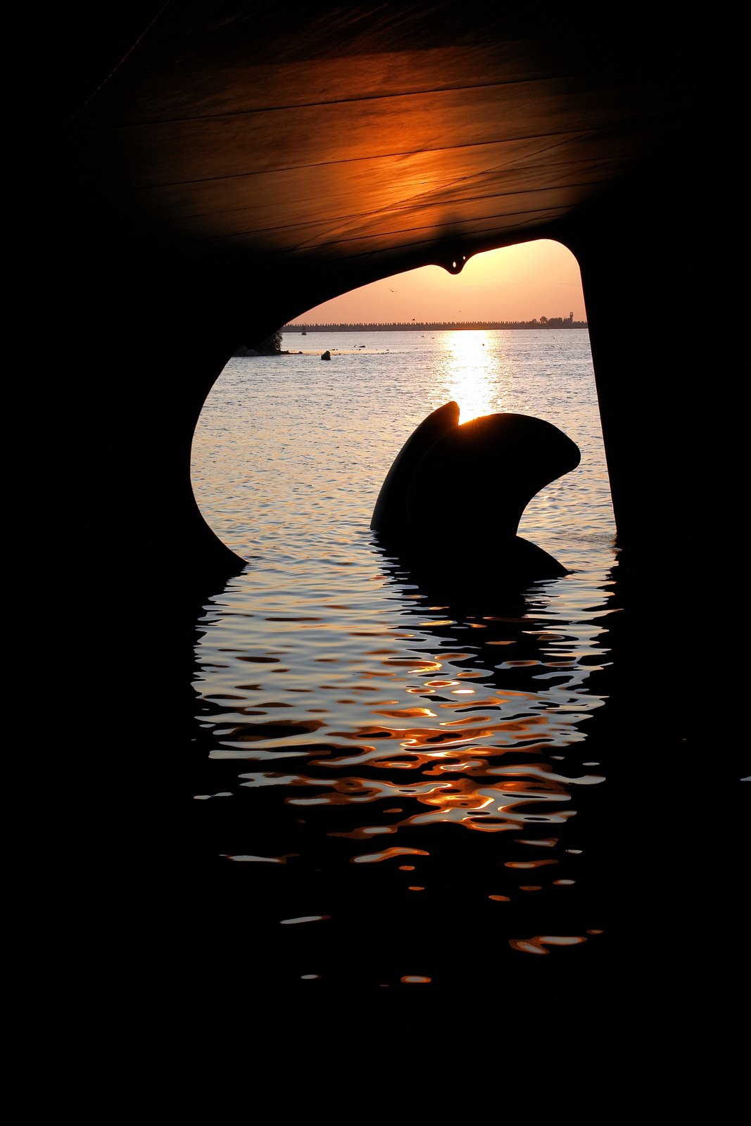 [DSC09132.JPG]