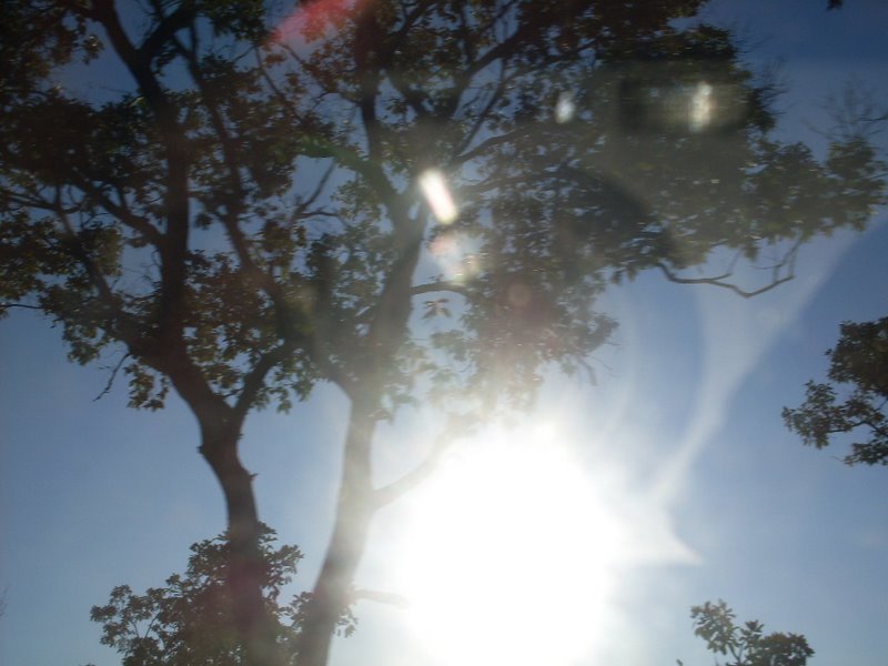 [ATgAAABSq-02GhpY0zZZqpzcTGbn6LcmAK3sXdLUvM6-t21YvlRAgUkeT6kvtDRjDdjf61eVpt128rhiW-1y2UE-81omAJtU9VDf21U6GOcGKbugvjOCmPQiFrFYXQ.jpg]