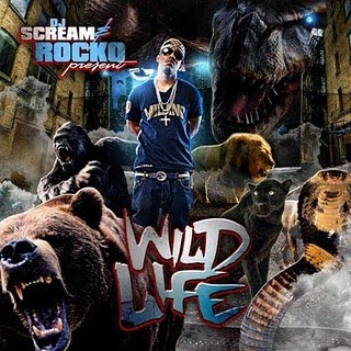 Rocko Wildlife