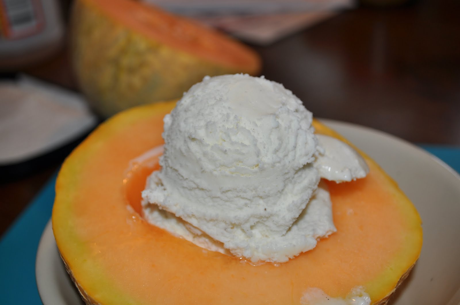 Michigan Cottage Cook CANTALOUPE AND VANILLA ICE CREAM