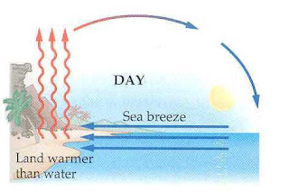 convection breeze land sea examples physics currents heat know need throughout general