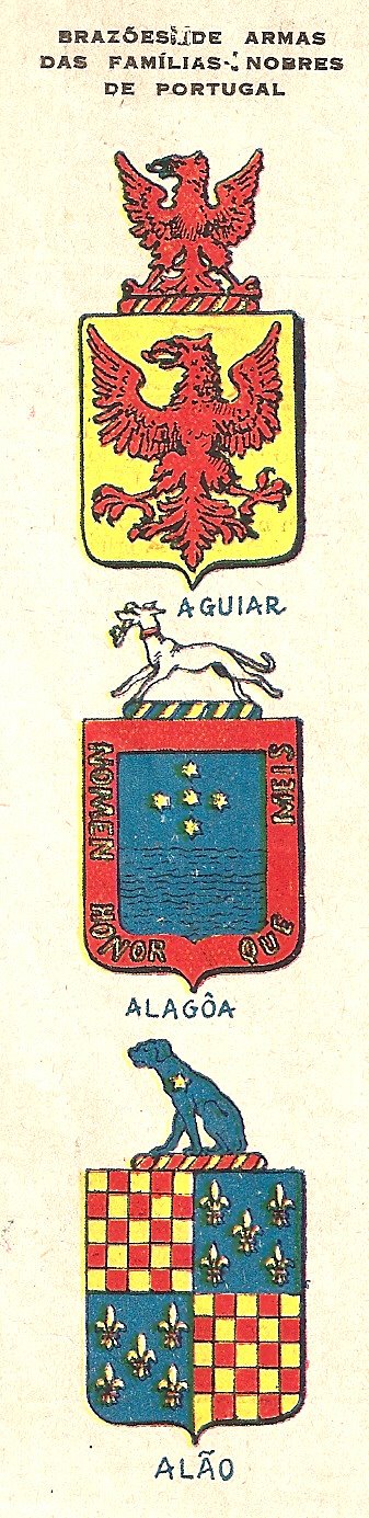 [brazoes1.JPG]