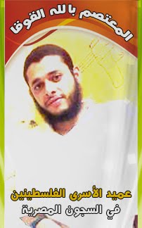 الحرية/ للمعتصم بالله القوقا