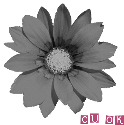 Greyscale CU Flower Flower2template+copy