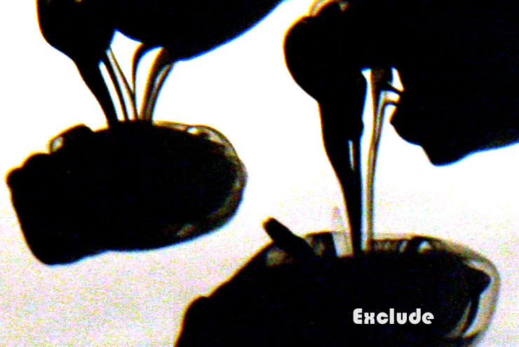[exclude.jpg]