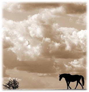 نقره لتكبير أو تصغير الصورة ونقرتين لعرض الصورة في صفحة مستقلة بحجمها الطبيعي