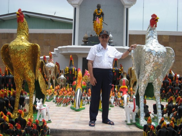 [Picture+950.jpg]