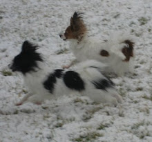 Zooming in the snow!!