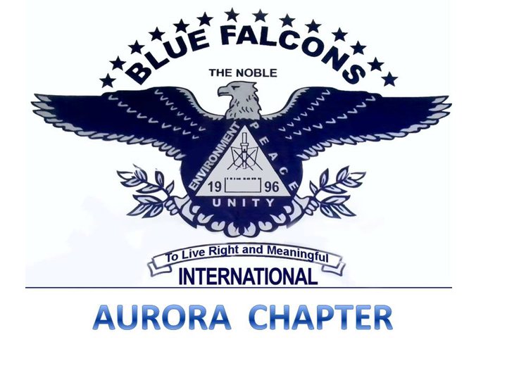 blue falcon awards blue falcon awards