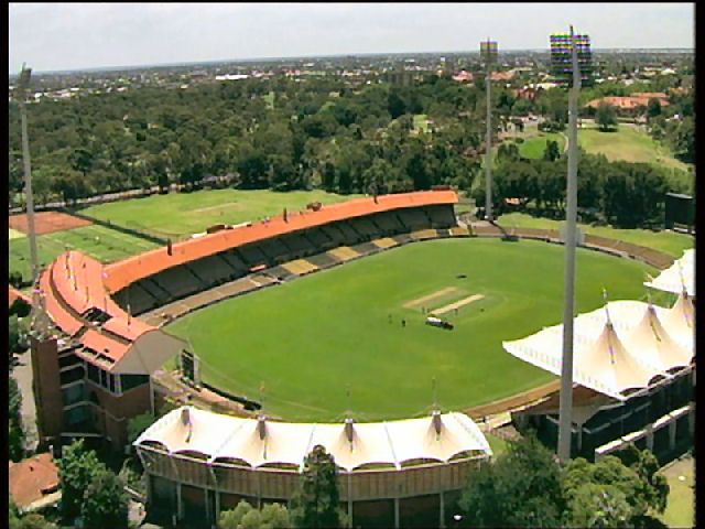 Crickets In Adelaide