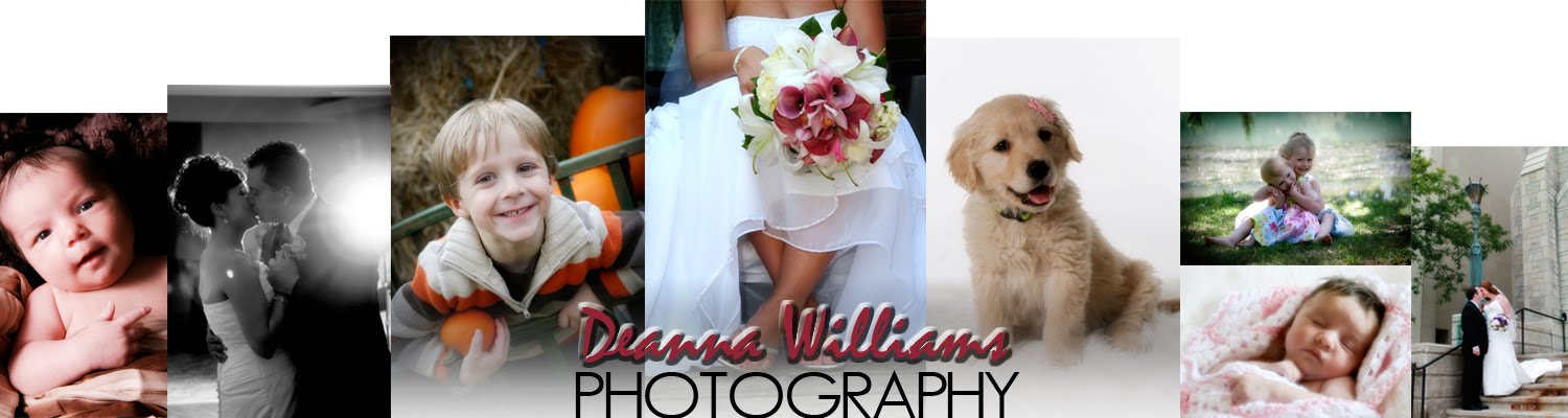 Deanna Williams Photography