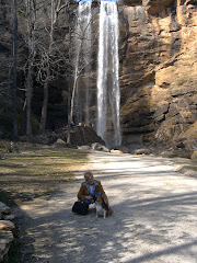 Tocca Falls