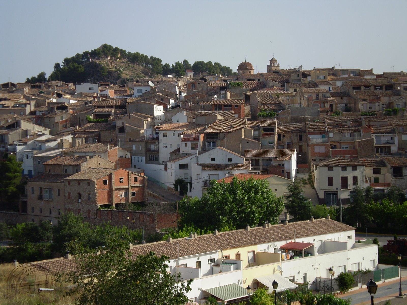 [P7240017.JPG]