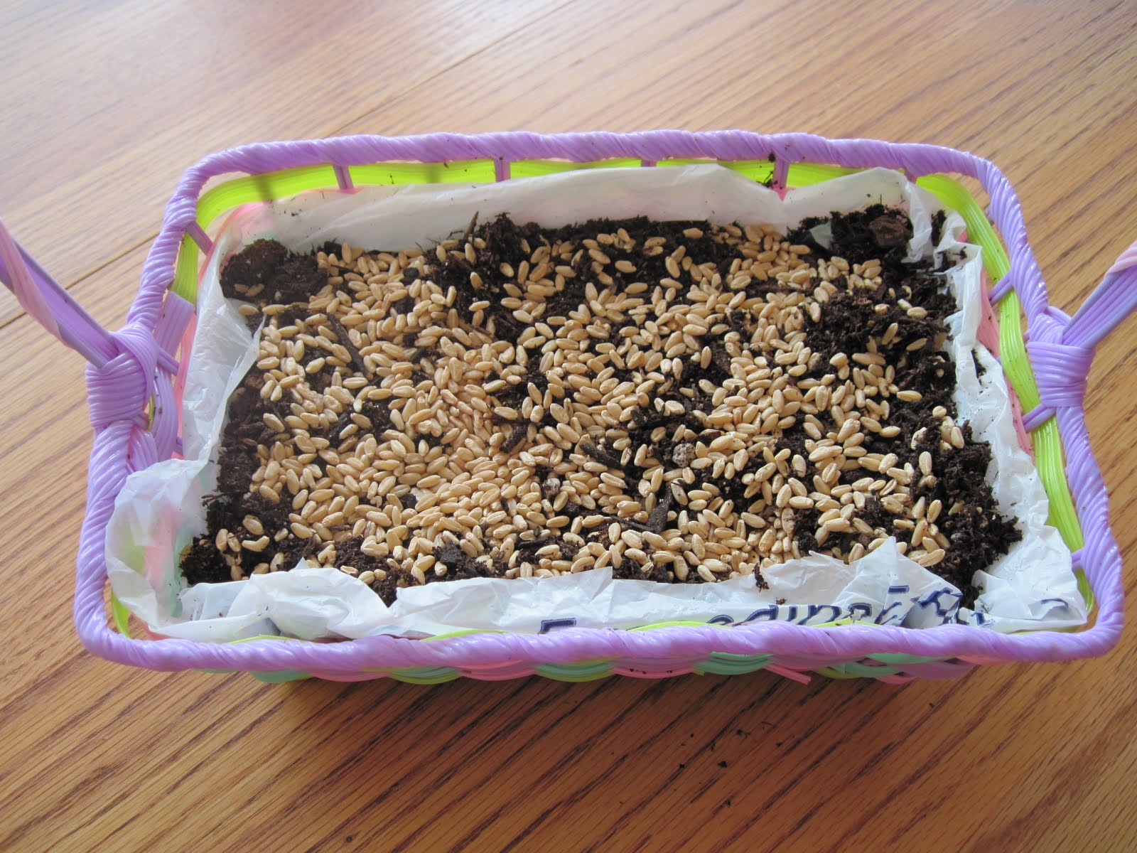 The Sister Letters Tutorial Easter Basket Grass