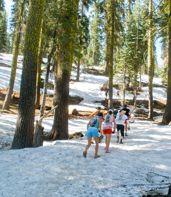Camp the U.S. for 5 or Less: Western States